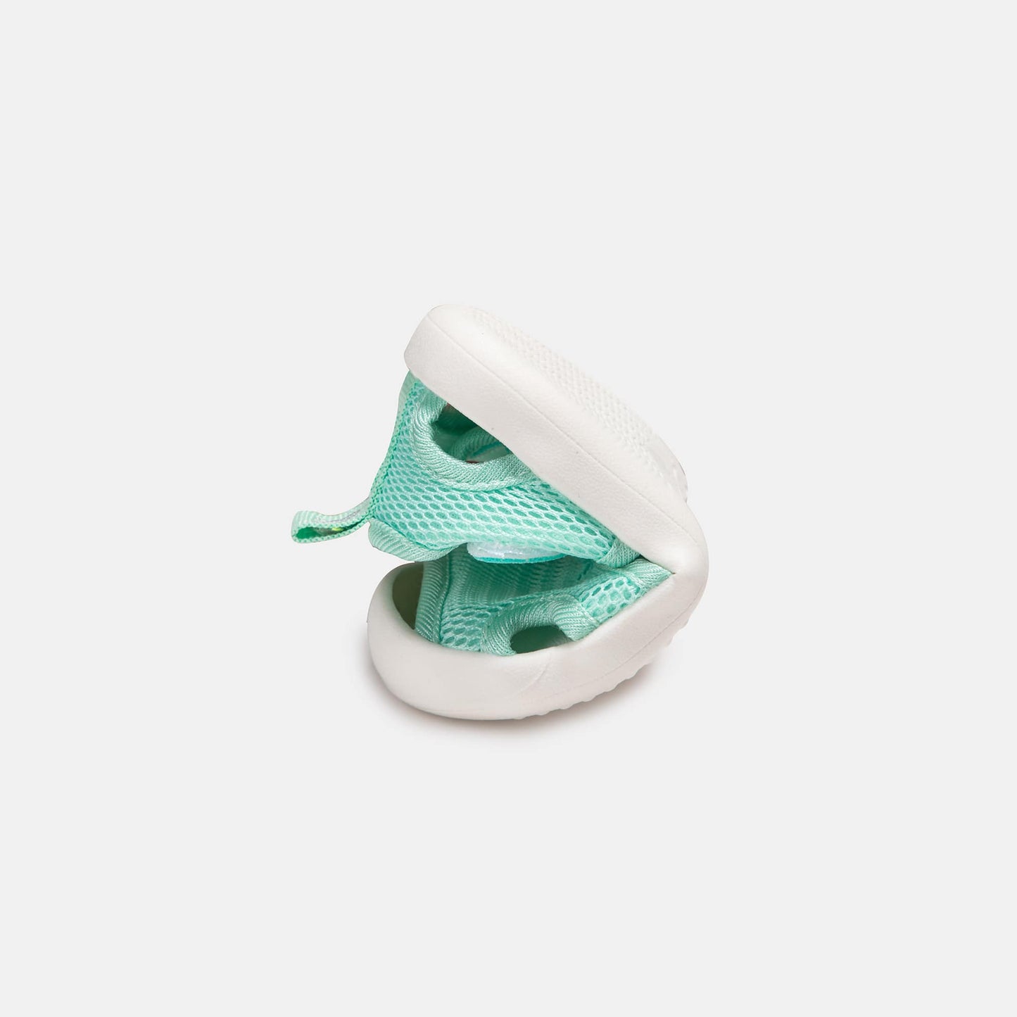 Ocean