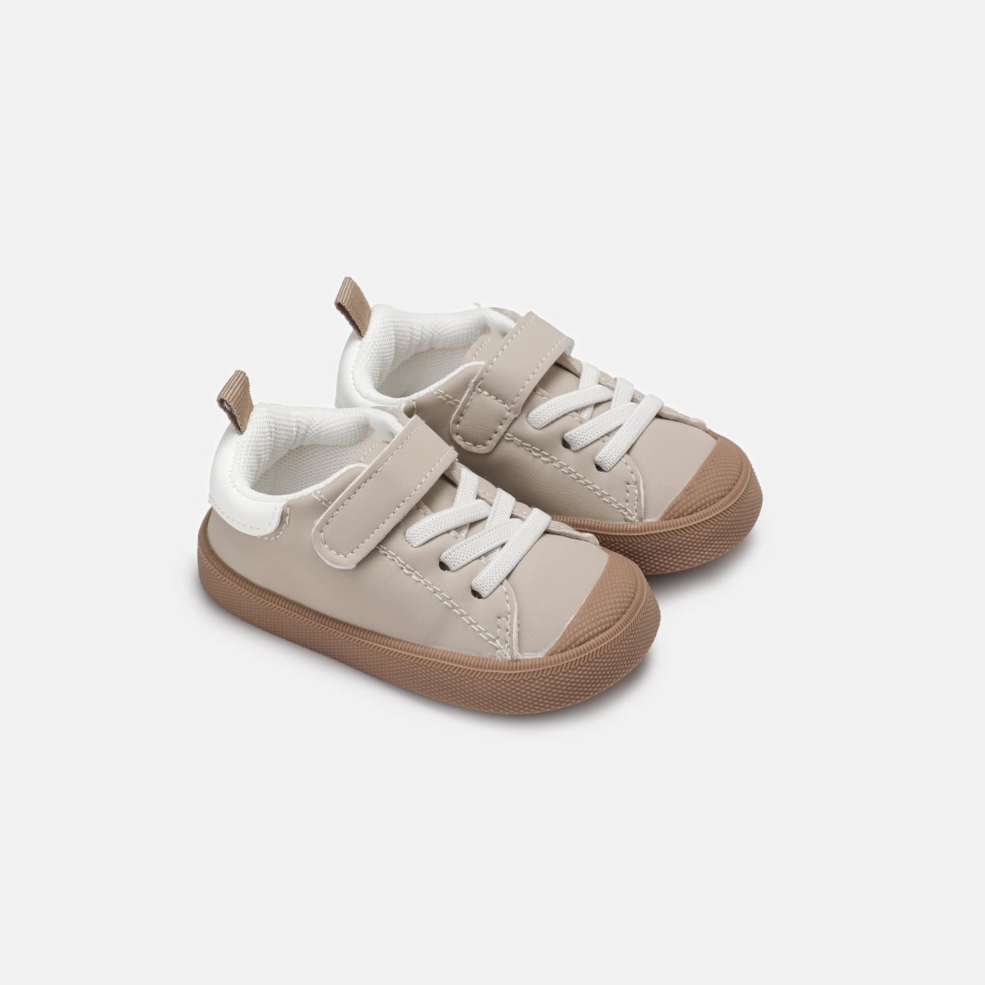 Lion – Biopedics - Main Image