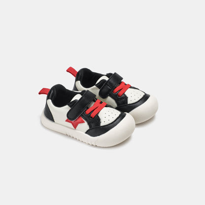 Zebra Bicolor
