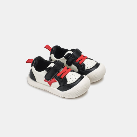 Zebra Bicolor